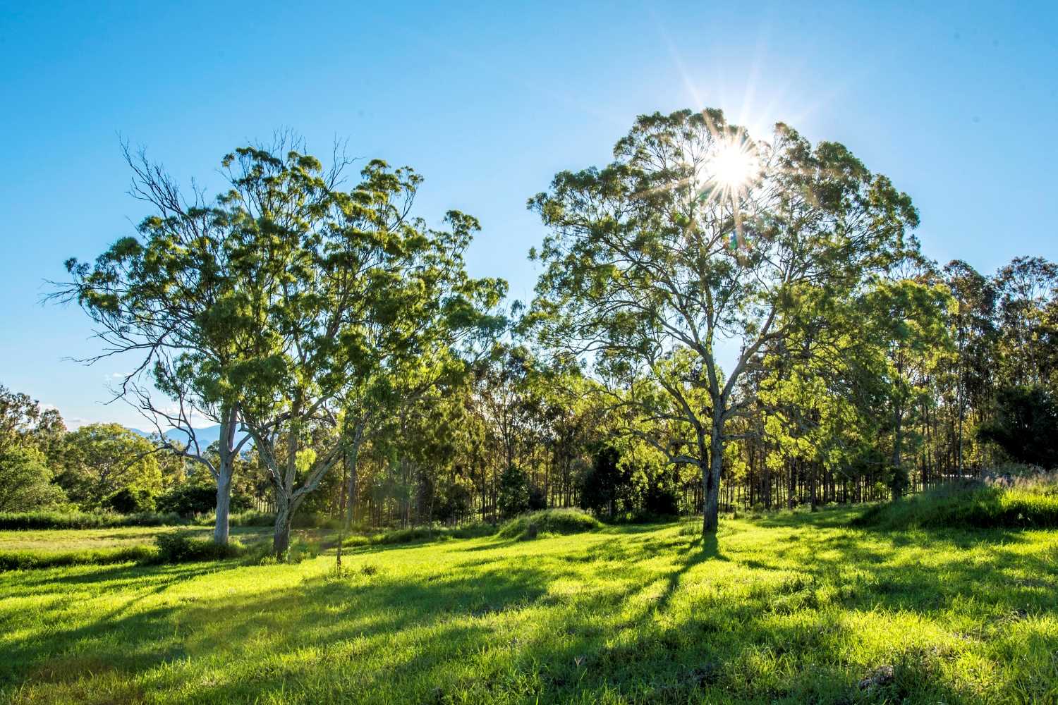 [Land for Sale] Hillview Estate, Boonah OpenLot